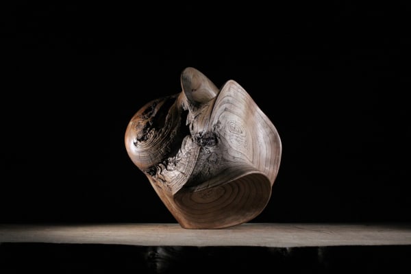 Nic Webb, Vessel in Elm, 2019
