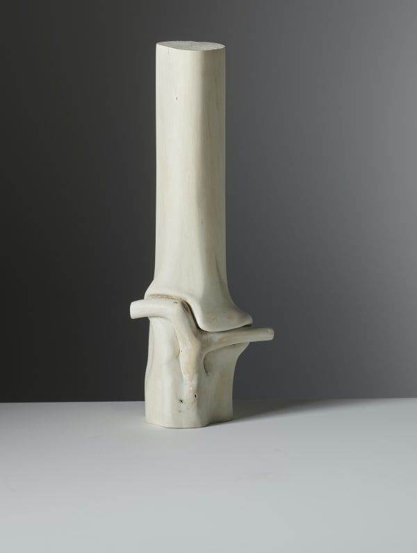Wycliffe Stutchbury, Brass Point 3, 2020