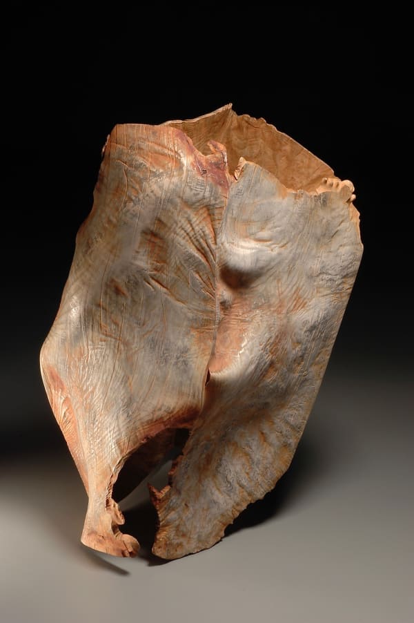 Michael Peterson, New Terrain, 2019