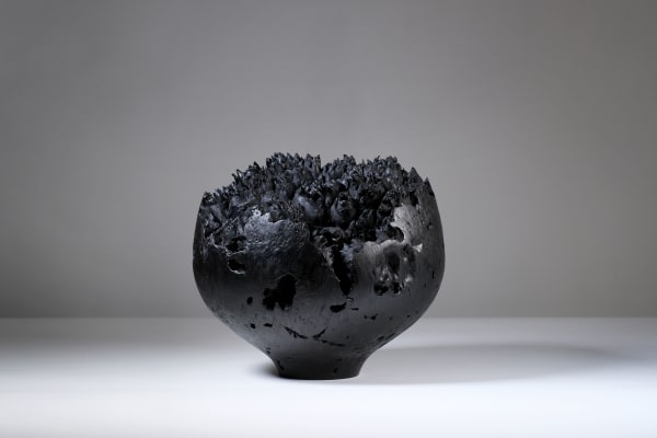 Eleanor Lakelin, Black Calyx II/22, 2022