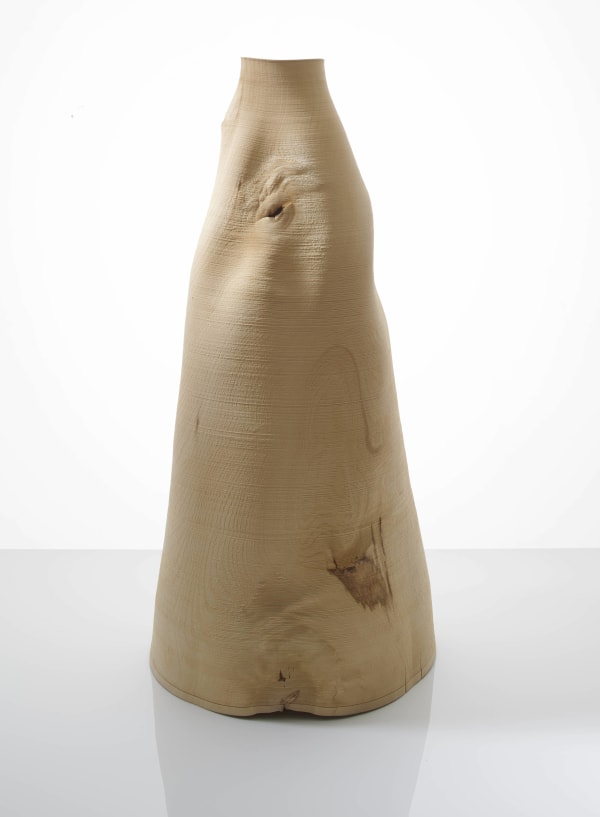 Ernst Gamperl, 64/2019/80 , 2019
