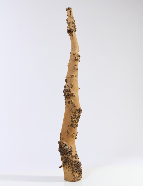 Aneta Regel, Volcanic Totem 8, 2022