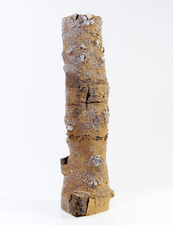 Aneta Regel, Volcanic Totem 3 Pien, 2023