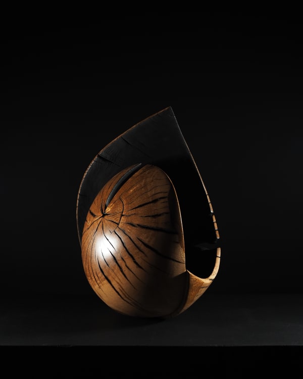 Nic Webb, Koru II, 2020
