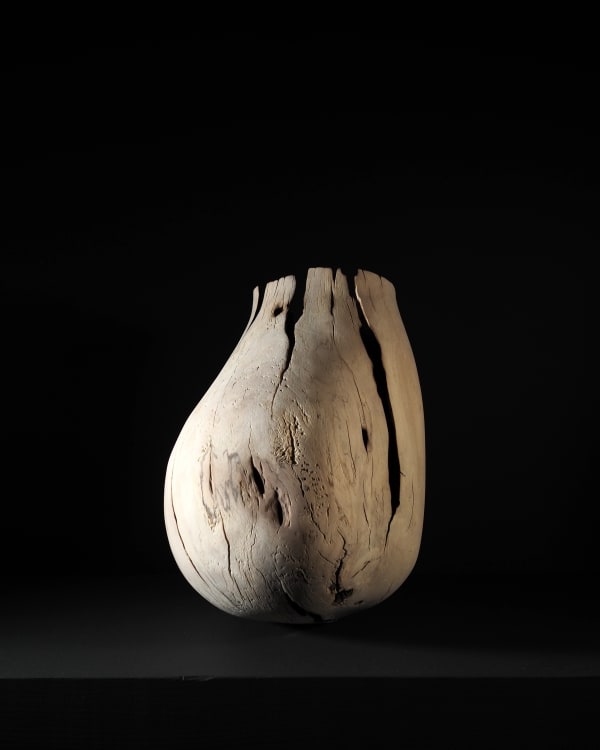 Nic Webb, Lost Vessel, 2020
