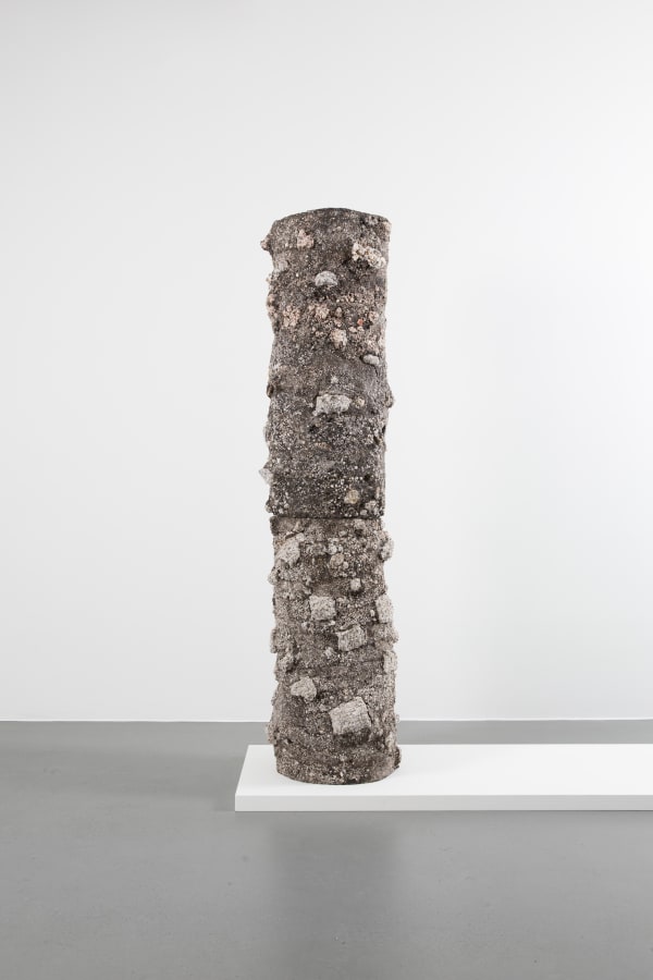 Metamorphosis 3, Black Pien