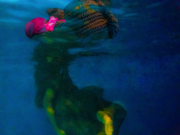 Zemaye Okediji, Crowning glory 1 of 5, 2016