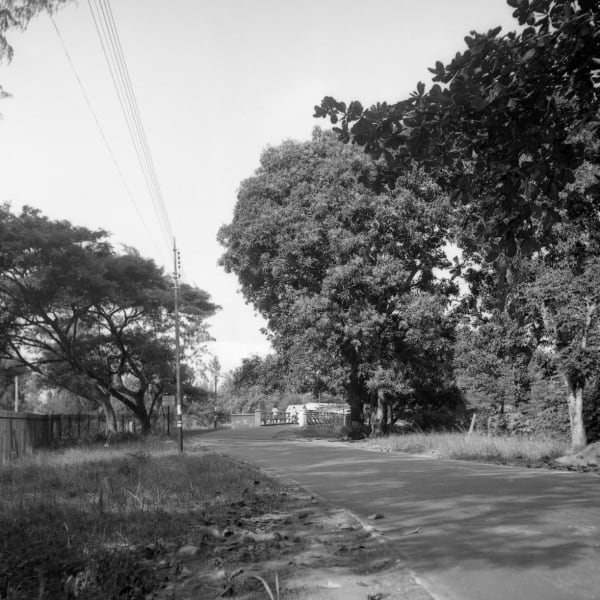 Gillian Hopwood, Onikan Road, 1954