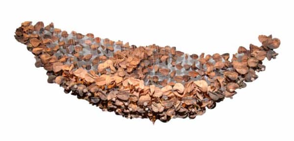 Ngozi Omeje, Not In Sight, 2019