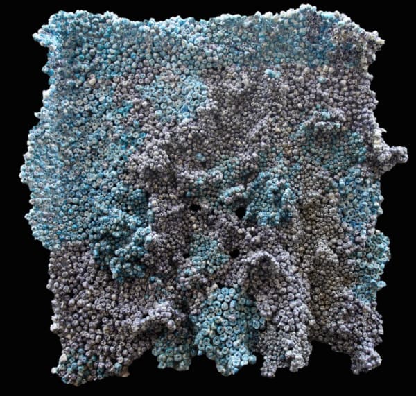 Olumide Onadipe, Crowd Commotion, 2016-2017