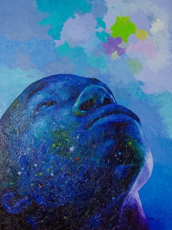 Jimmy Nwanne, Written in The Skies