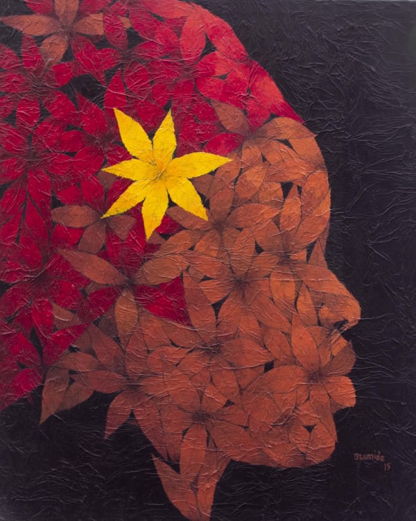 Olumide Onadipe, Model, 2015