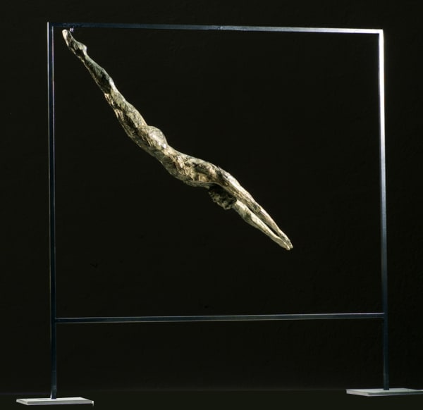 Anne Jaeckin, Le Plongeon