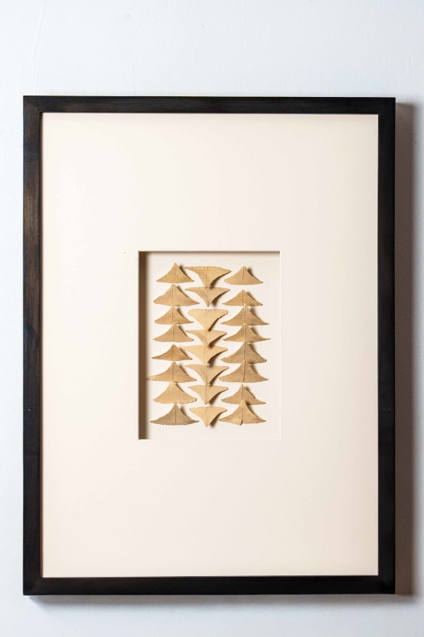 Halima Cassell MBE FRSS, Diversion (Shards), 2025