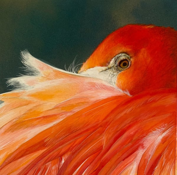 Lucy McLaven, Small Glimmers, Flamingo, 2025