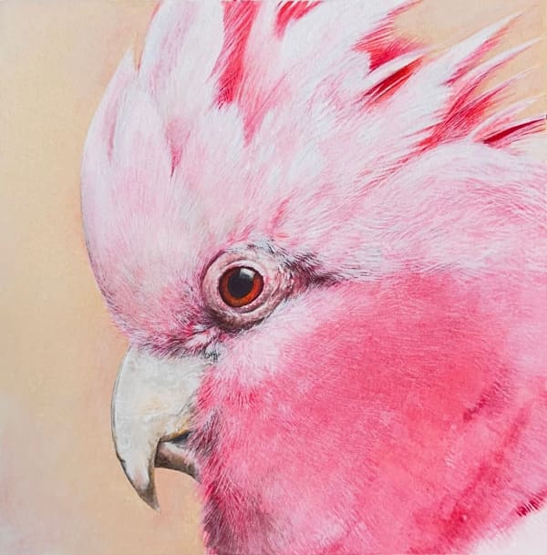 Lucy McLaven, Small Glimmers, Pink Galah (Number One), 2025