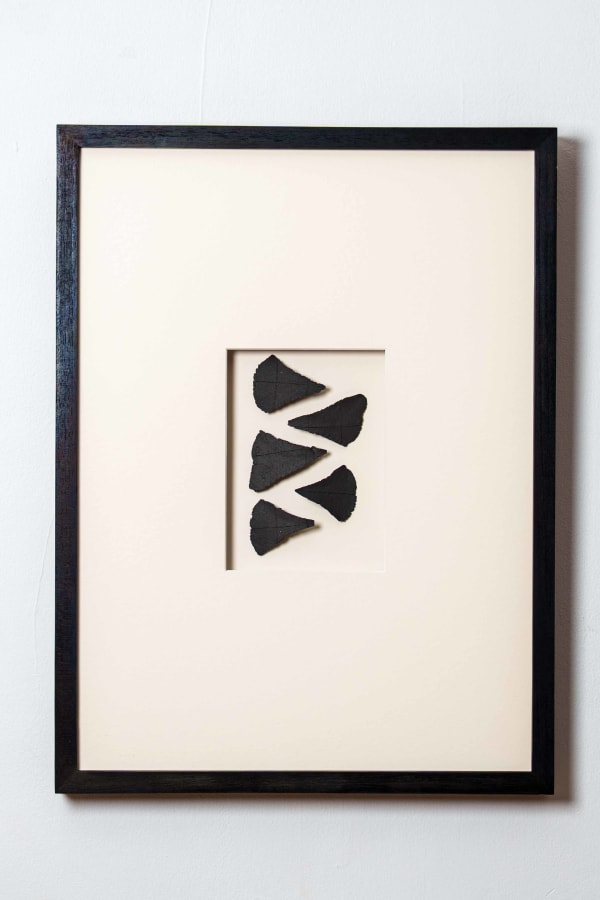 Halima Cassell MBE FRSS, Zig Zag (Shards), 2025