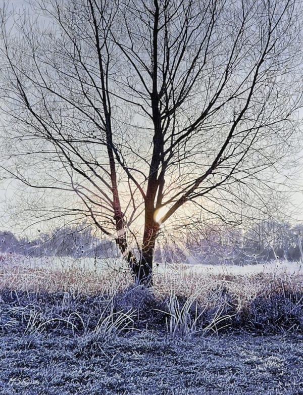 Mark Payne, A Bright New Day, Hinchingbrook Park, 2024