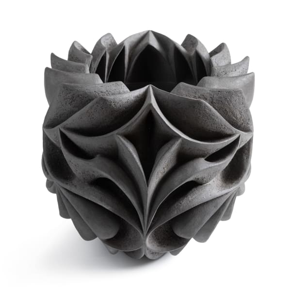 Halima Cassell MBE FRSS, Raven, 2024