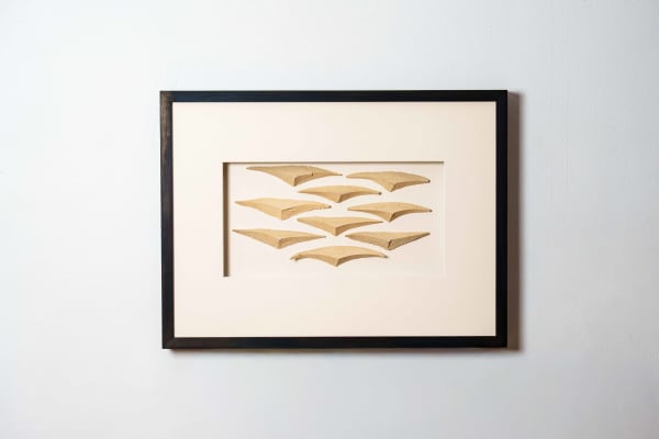 Halima Cassell MBE FRSS, Flight (Shards), 2025