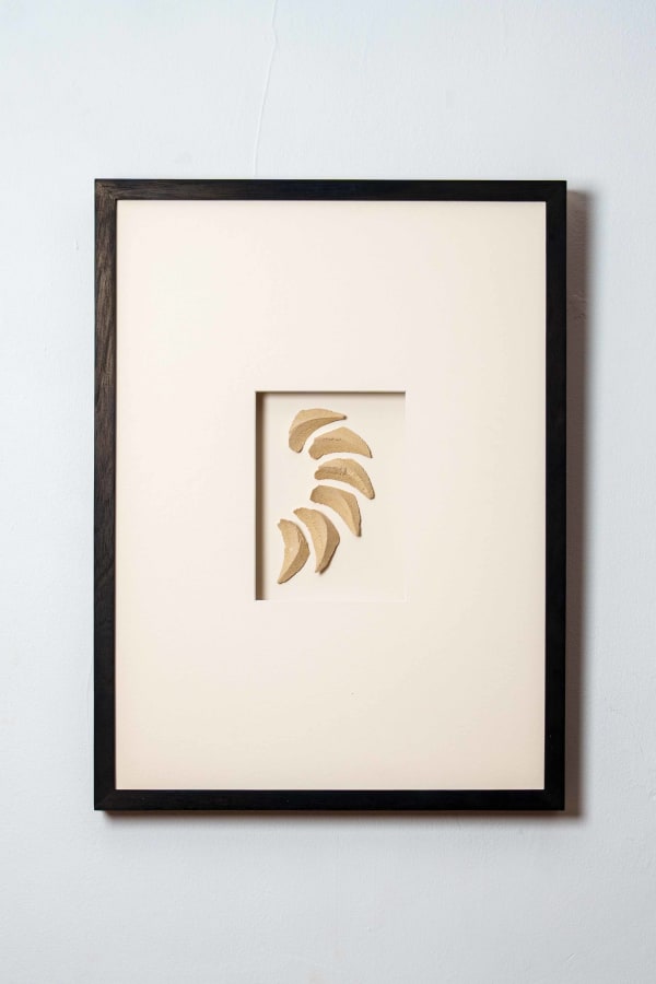 Halima Cassell MBE FRSS, Wing (Shards), 2025