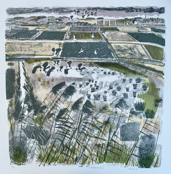 Carry Akroyd, Undrained Field