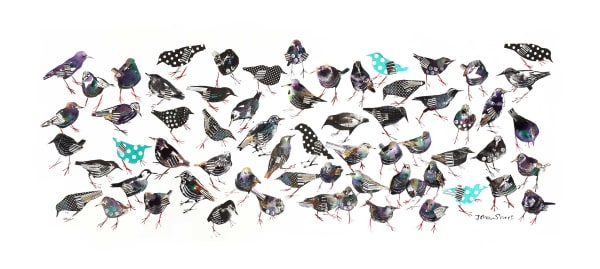 John Short, Starlings