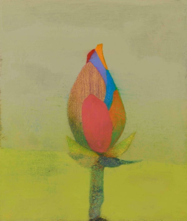 Tom Climent, Treasure Veiled