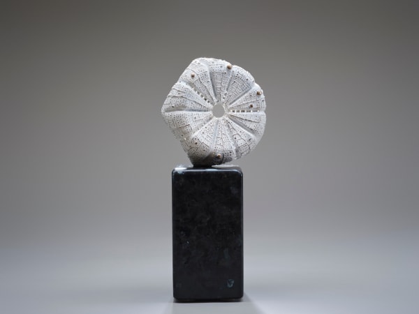 Works Available in Gallery