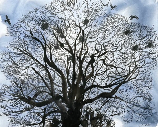 John Short, Crows nesting, Killaloe, Co. Clare, 2024