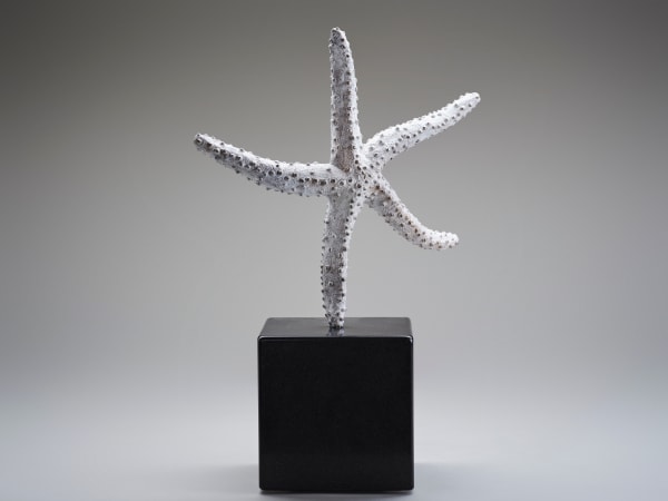 Rachel Joynt RHA, Turn III