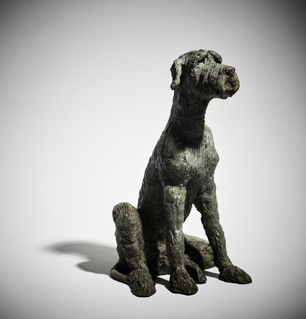 Anthony Scott RUA, Seated Wolfhound, 2022