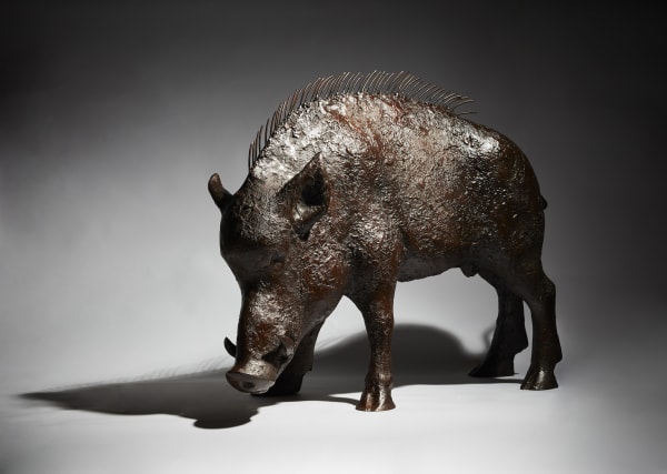 Anthony Scott RUA, Cian