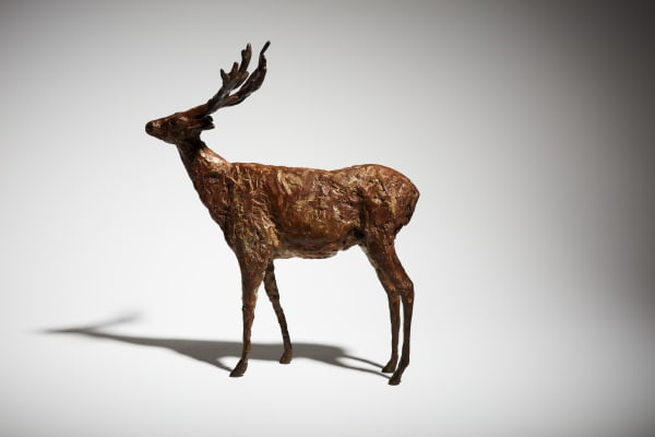 Cheryl Brown Deer II bronze, edition of 6 28 x 25 x 14cm edition 1/6