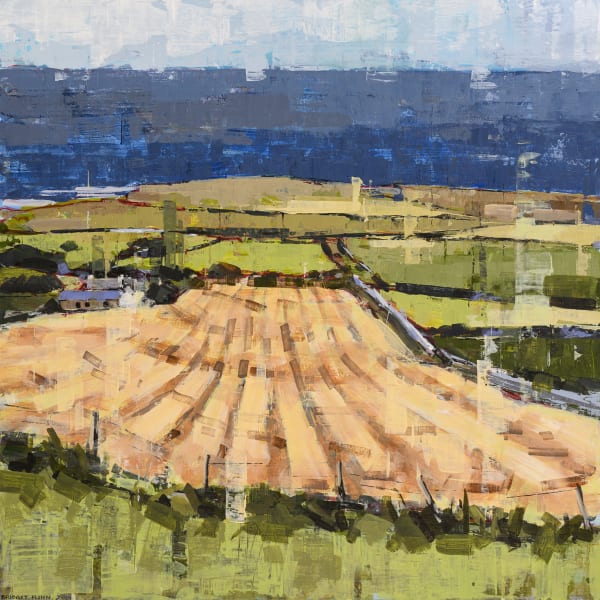 Bridget Flinn, Big Yellow Field