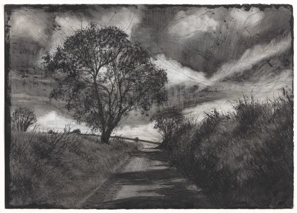 Michael Wann, Deep Shadows on the Road to Water, 2022