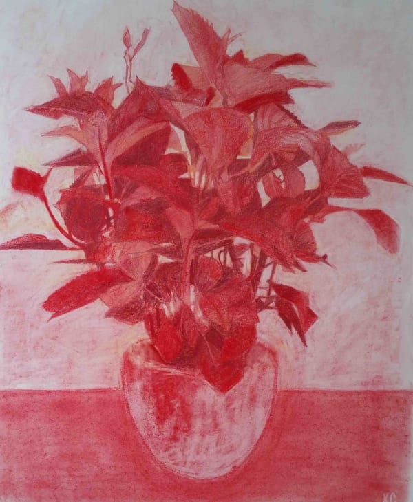 Kieran Crowley, Gasoline