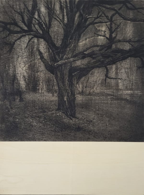 Michael Wann, Hazelwood, Dusk, 2023