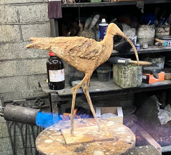 Cheryl Brown, Curlew, 2025