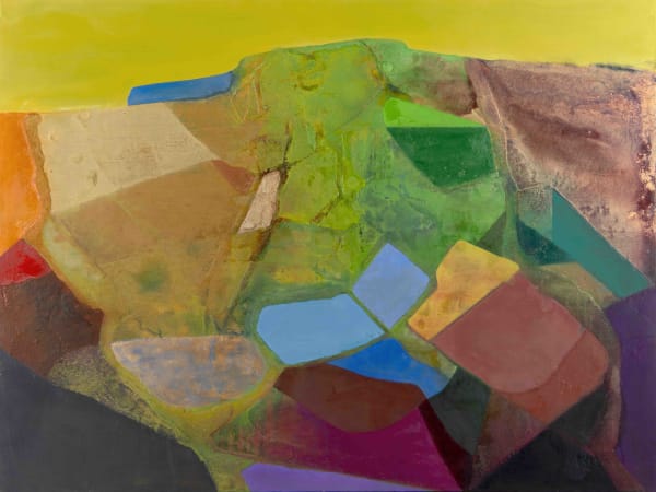 Tom Climent, Fields of Vision