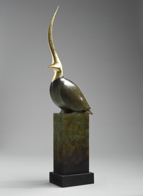 Peter Killeen, Chofa