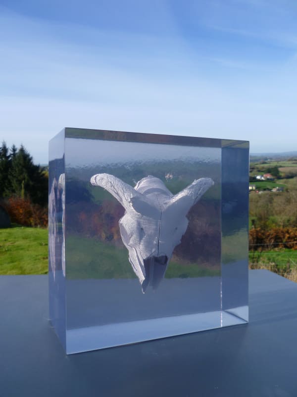 Eilis O'Connell RHA Sheeps Skull, 2019 unique, skull, clear cast resin 28 x 28 x 14cm