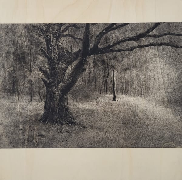 Michael Wann, Hazelwood, Sunday Morning, 2023