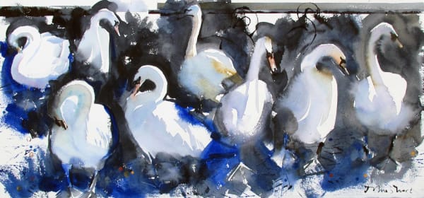 John Short, Swans in Bray Harbour (study)