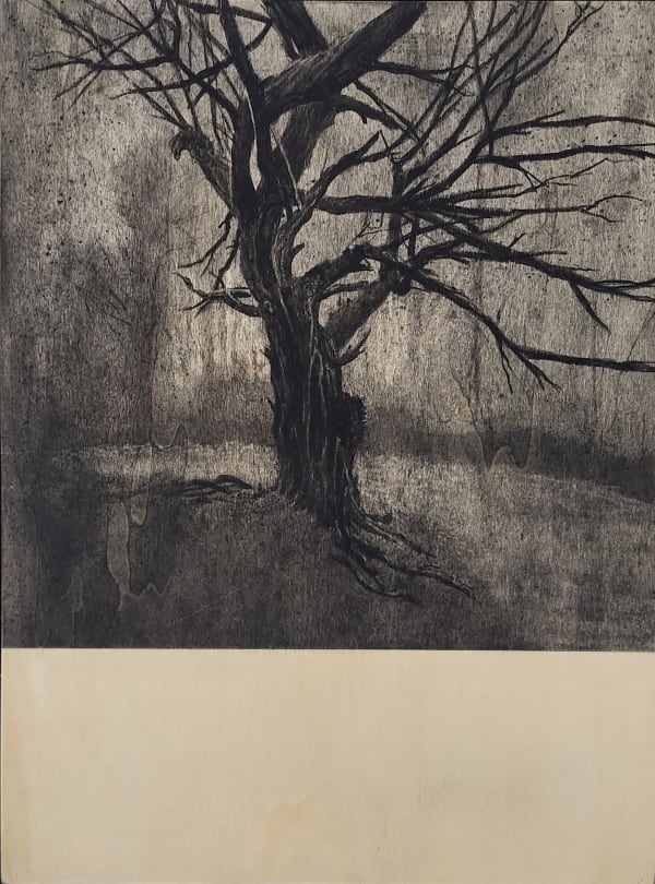 Michael Wann, Hazelwood, Dawn, 2023