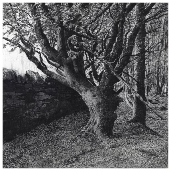 Michael Wann, Enclave, 2022