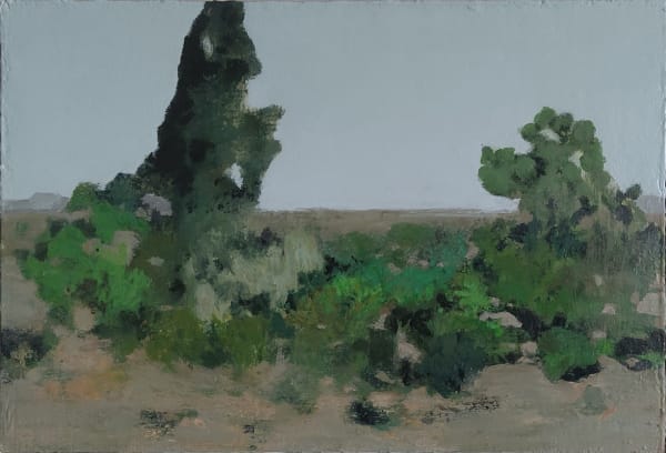 Clifford Collie, Monegros I, Spain