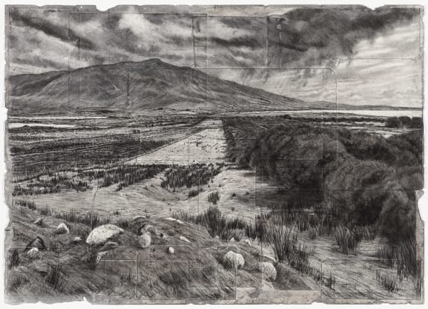 Michael Wann, Mongrel Geometry, 2024