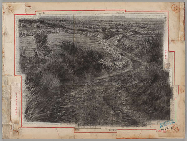 Michael Wann, Archival Landscape #075, 2025