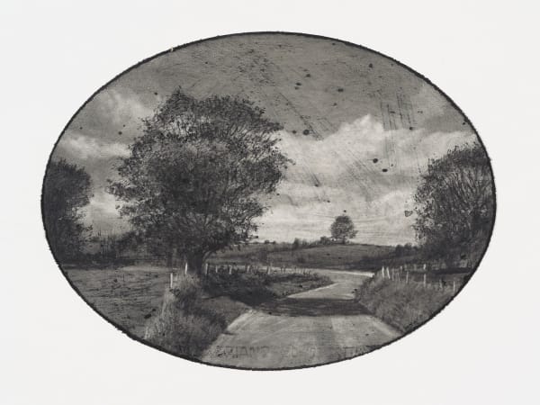 Michael Wann, Viral Landscape, Road to Water 1, 2020